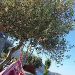 Apartment Aegean Balcony